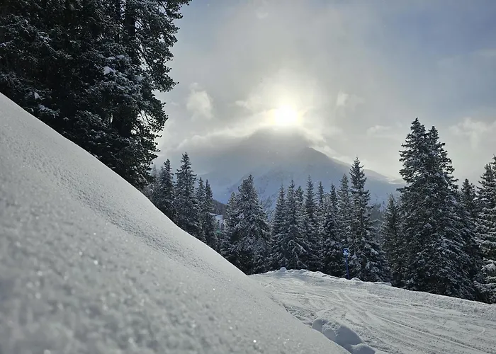Haus Alpenblick